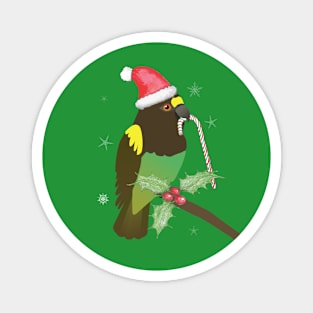 A cute Christmas Meyer's parrot Magnet